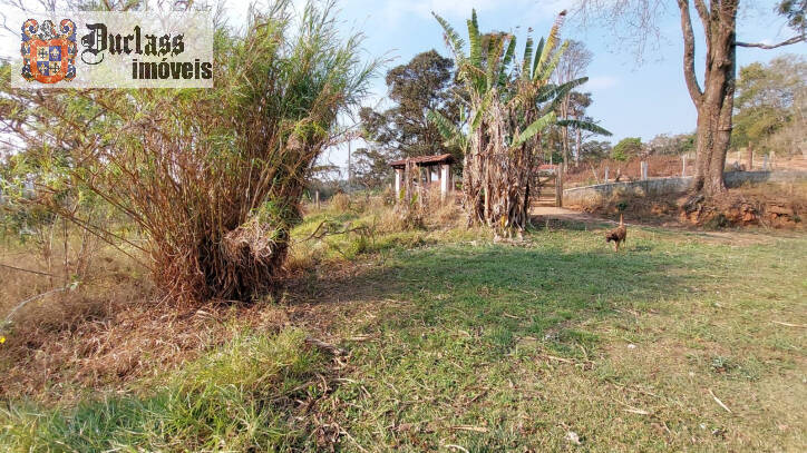 Fazenda à venda com 6 quartos, 450m² - Foto 134