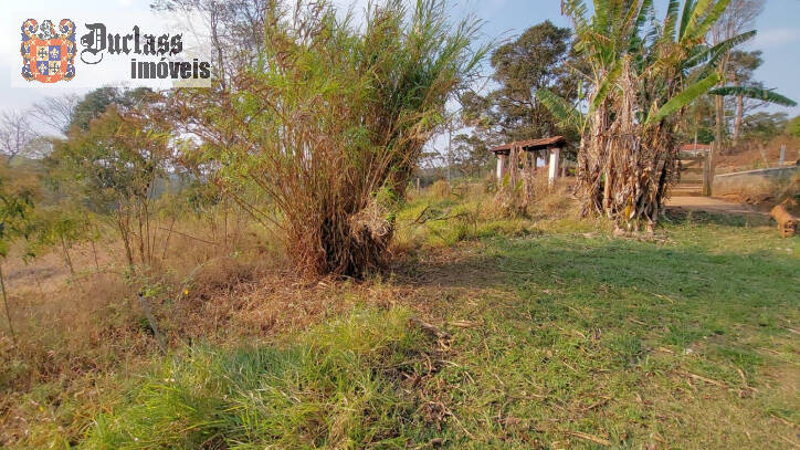 Fazenda à venda com 6 quartos, 450m² - Foto 135