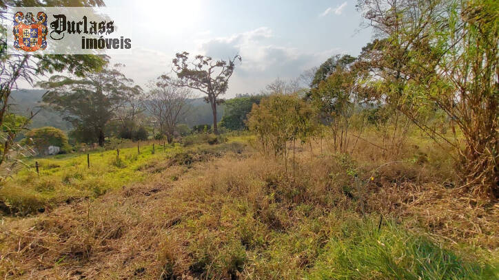 Fazenda à venda com 6 quartos, 450m² - Foto 137