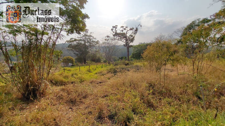 Fazenda à venda com 6 quartos, 450m² - Foto 138