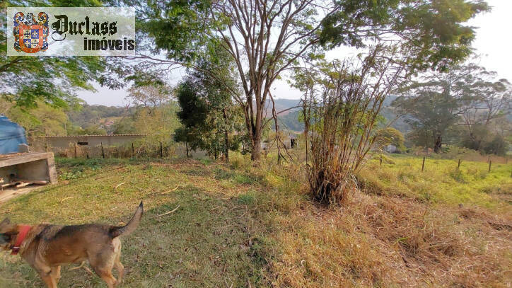 Fazenda à venda com 6 quartos, 450m² - Foto 139