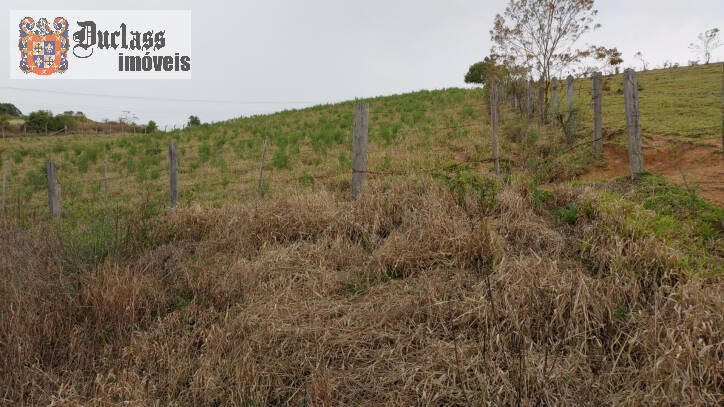 Fazenda à venda com 1 quarto, 100m² - Foto 7