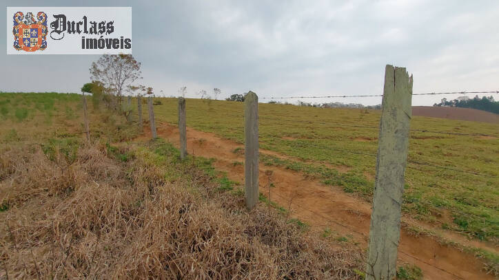 Fazenda à venda com 1 quarto, 100m² - Foto 11