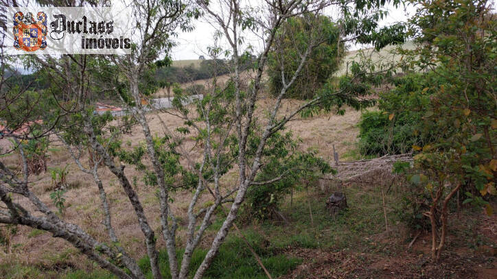 Fazenda à venda com 1 quarto, 100m² - Foto 13