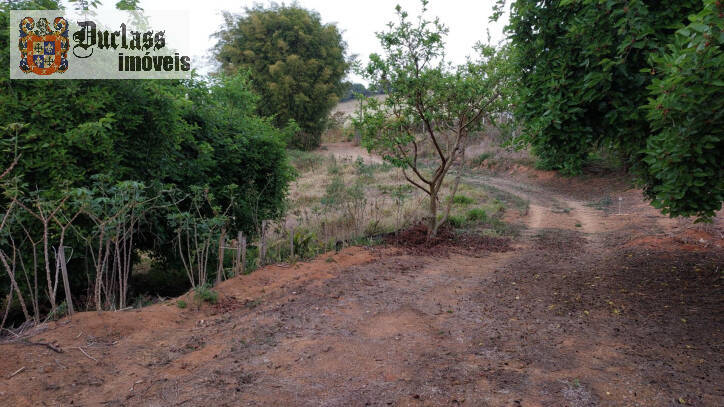 Fazenda à venda com 1 quarto, 100m² - Foto 21