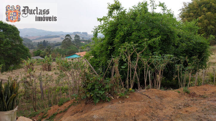 Fazenda à venda com 1 quarto, 100m² - Foto 22