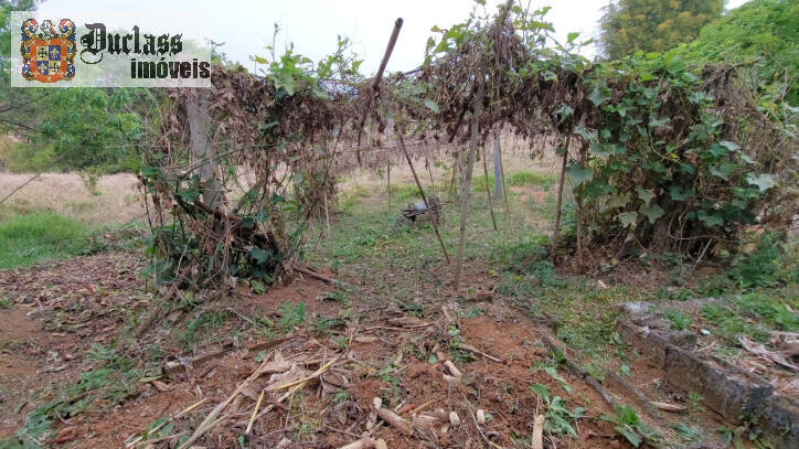 Fazenda à venda com 1 quarto, 100m² - Foto 36