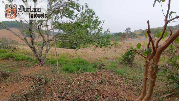 Fazenda à venda com 1 quarto, 100m² - Foto 38