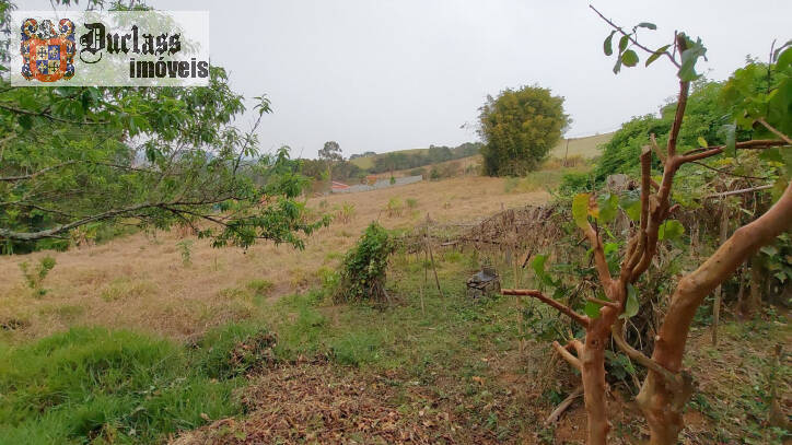 Fazenda à venda com 1 quarto, 100m² - Foto 39