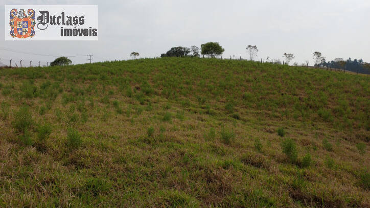 Fazenda à venda com 1 quarto, 100m² - Foto 40