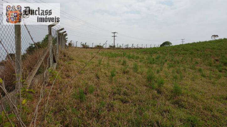 Fazenda à venda com 1 quarto, 100m² - Foto 43