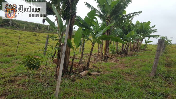 Fazenda à venda com 1 quarto, 100m² - Foto 46