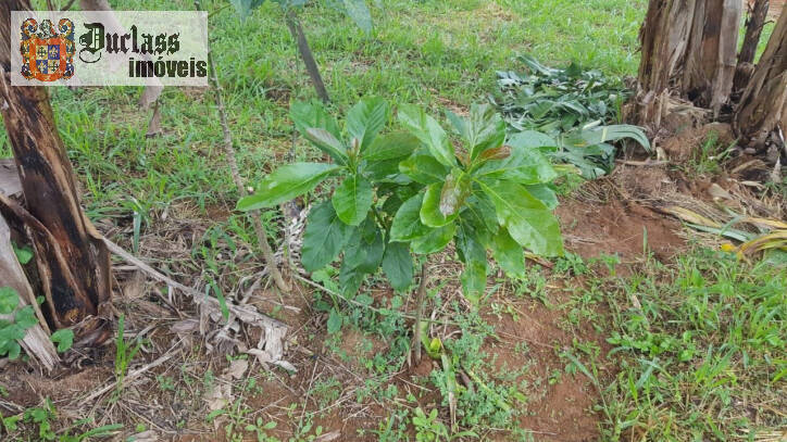 Fazenda à venda com 1 quarto, 100m² - Foto 48