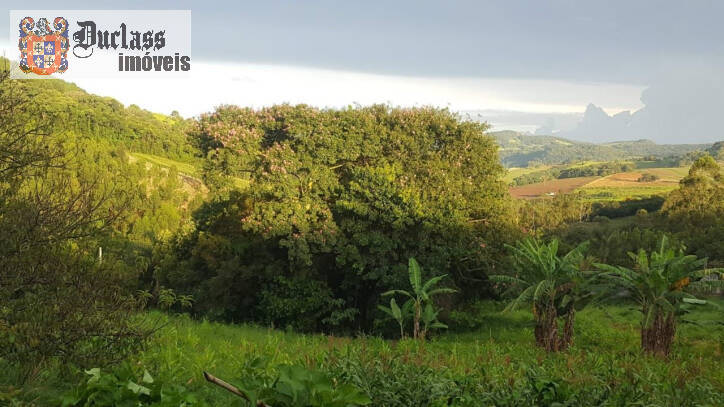 Fazenda à venda com 1 quarto, 100m² - Foto 50