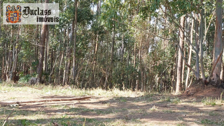 Fazenda à venda com 6 quartos, 500m² - Foto 125