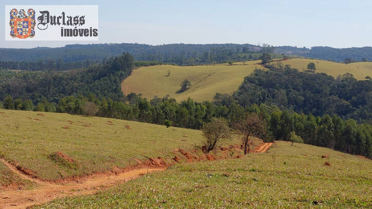 Fazenda à venda com 6 quartos, 500m² - Foto 127