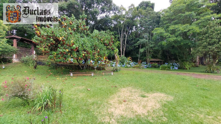 Fazenda à venda com 4 quartos, 450m² - Foto 5