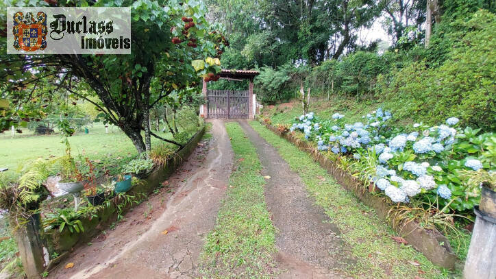 Fazenda à venda com 4 quartos, 450m² - Foto 2