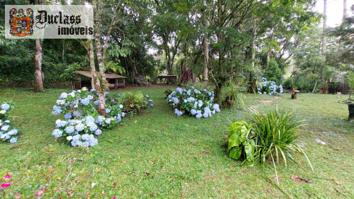 Fazenda à venda com 4 quartos, 450m² - Foto 10