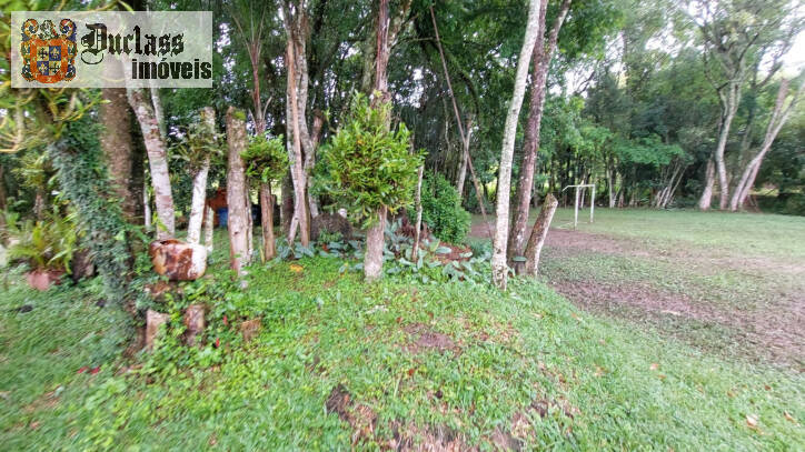 Fazenda à venda com 4 quartos, 450m² - Foto 56