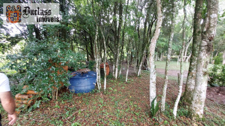 Fazenda à venda com 4 quartos, 450m² - Foto 59