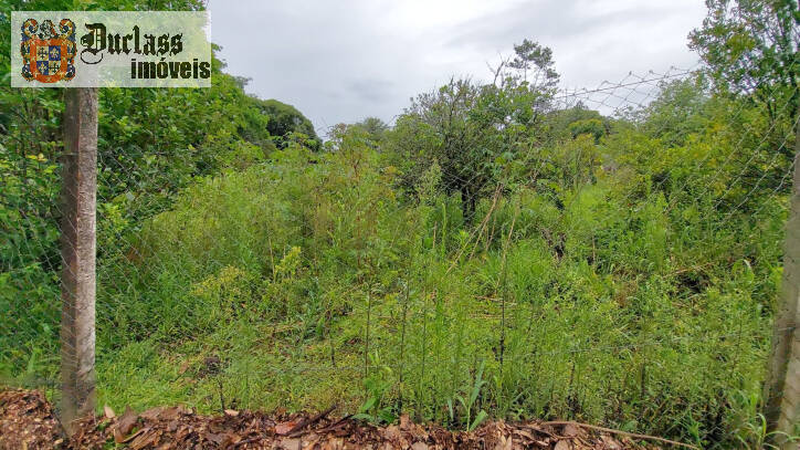 Fazenda à venda com 4 quartos, 450m² - Foto 66