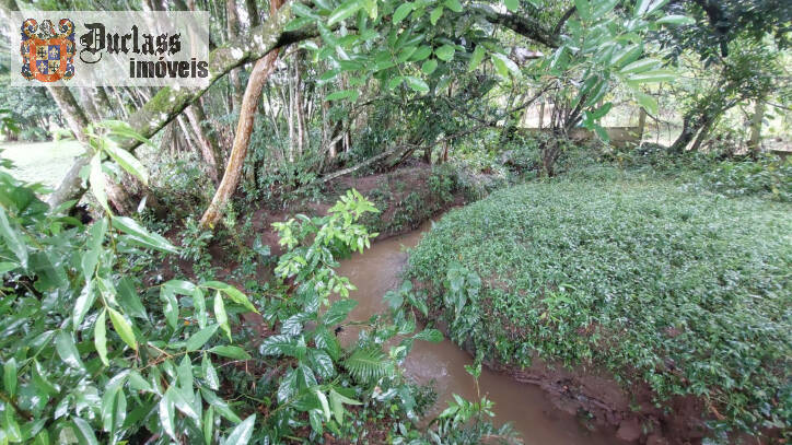 Fazenda à venda com 4 quartos, 450m² - Foto 67