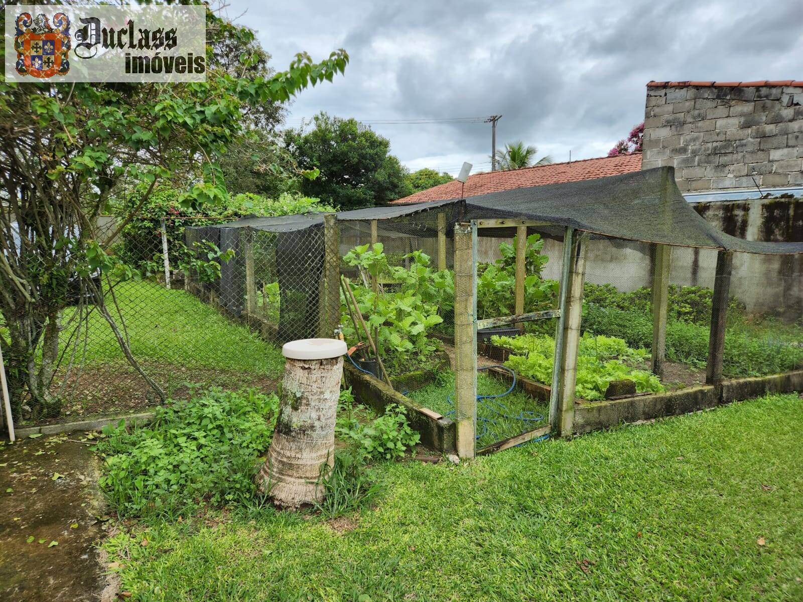 Fazenda à venda com 3 quartos, 219m² - Foto 40