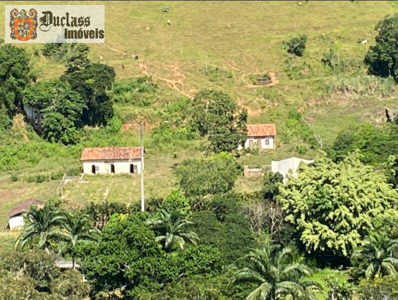 Fazenda à venda com 10 quartos, 785m² - Foto 10