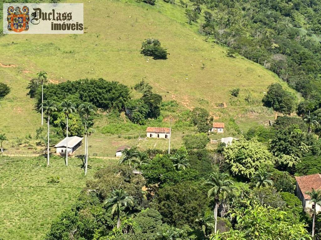 Fazenda à venda com 10 quartos, 785m² - Foto 41