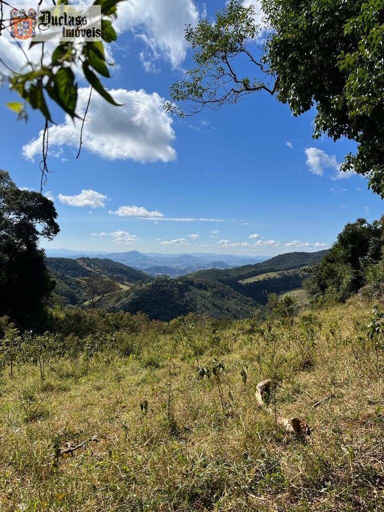 Fazenda à venda com 5 quartos, 350m² - Foto 19