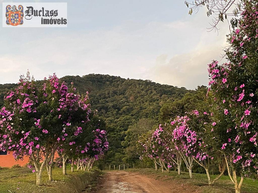 Fazenda à venda com 5 quartos, 350m² - Foto 22