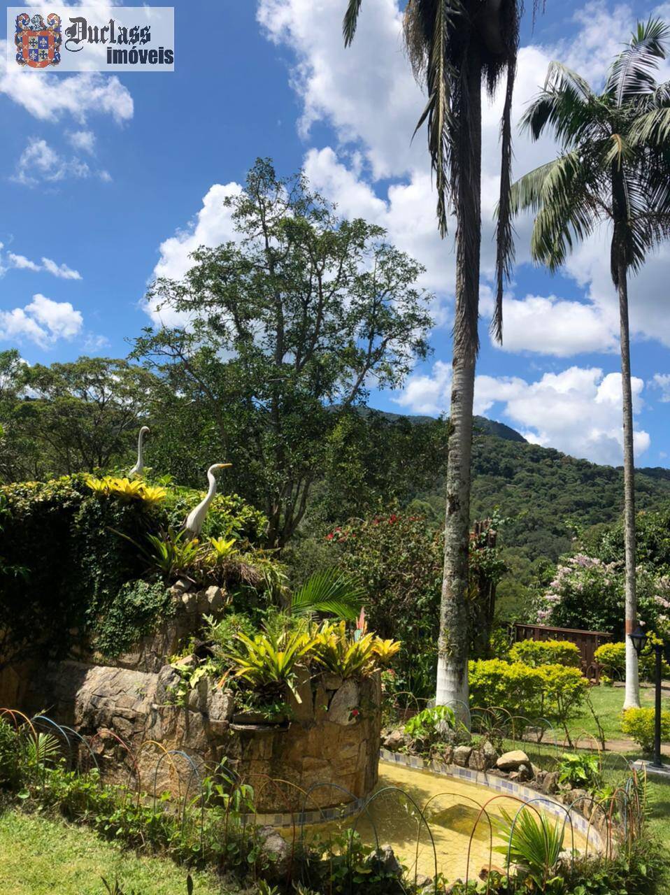 Fazenda à venda com 6 quartos, 12100m² - Foto 6