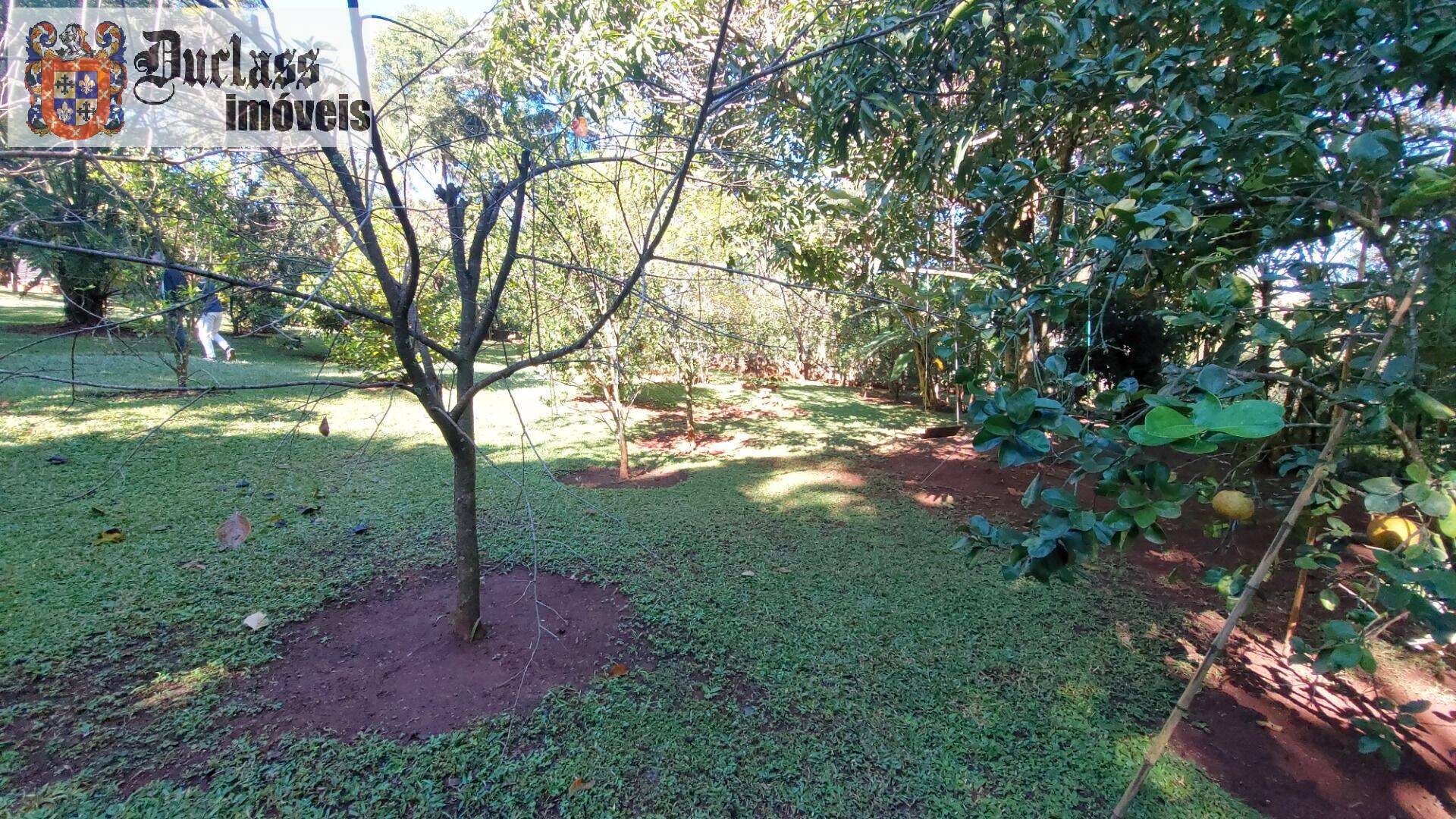 Fazenda à venda com 6 quartos, 800m² - Foto 14