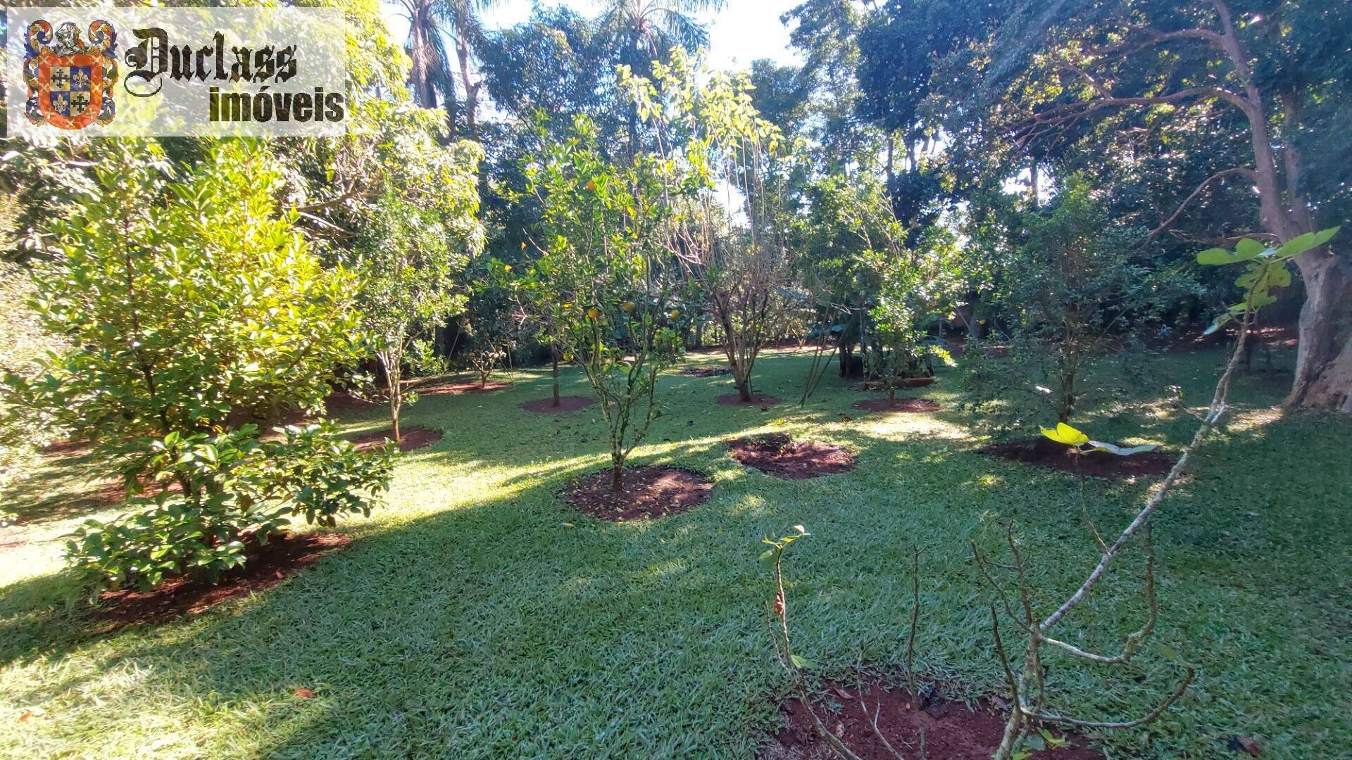 Fazenda à venda com 6 quartos, 800m² - Foto 21