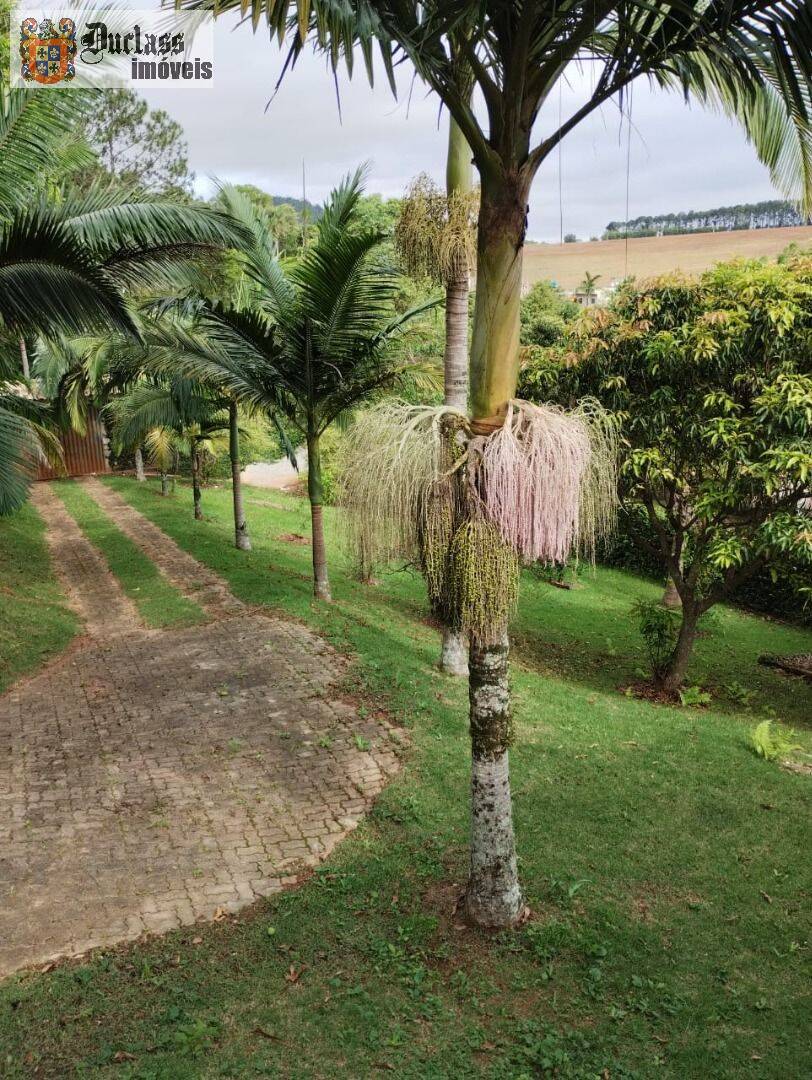 Fazenda à venda com 3 quartos, 613m² - Foto 3