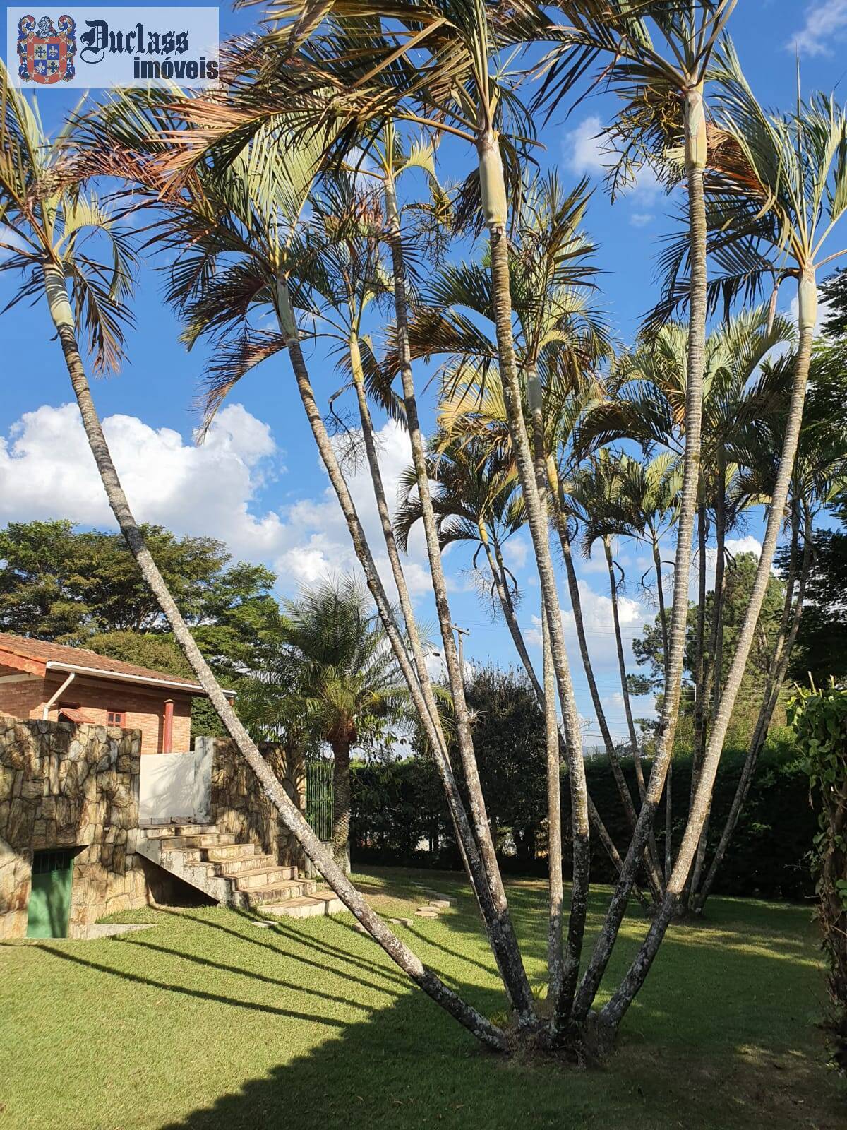 Fazenda à venda com 4 quartos, 347m² - Foto 17