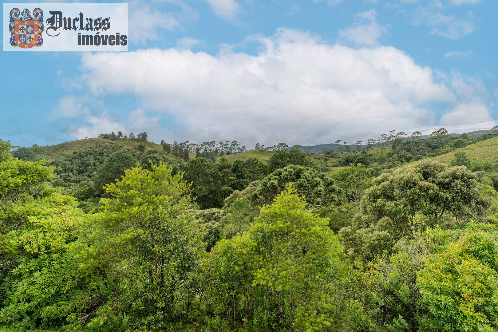 Fazenda à venda com 4 quartos, 200m² - Foto 4