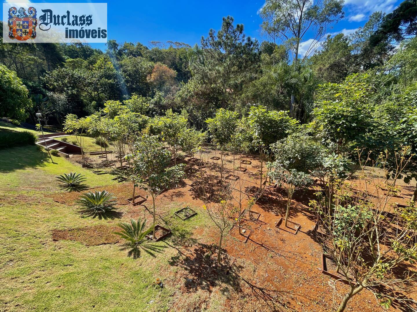 Fazenda à venda com 3 quartos, 480m² - Foto 13