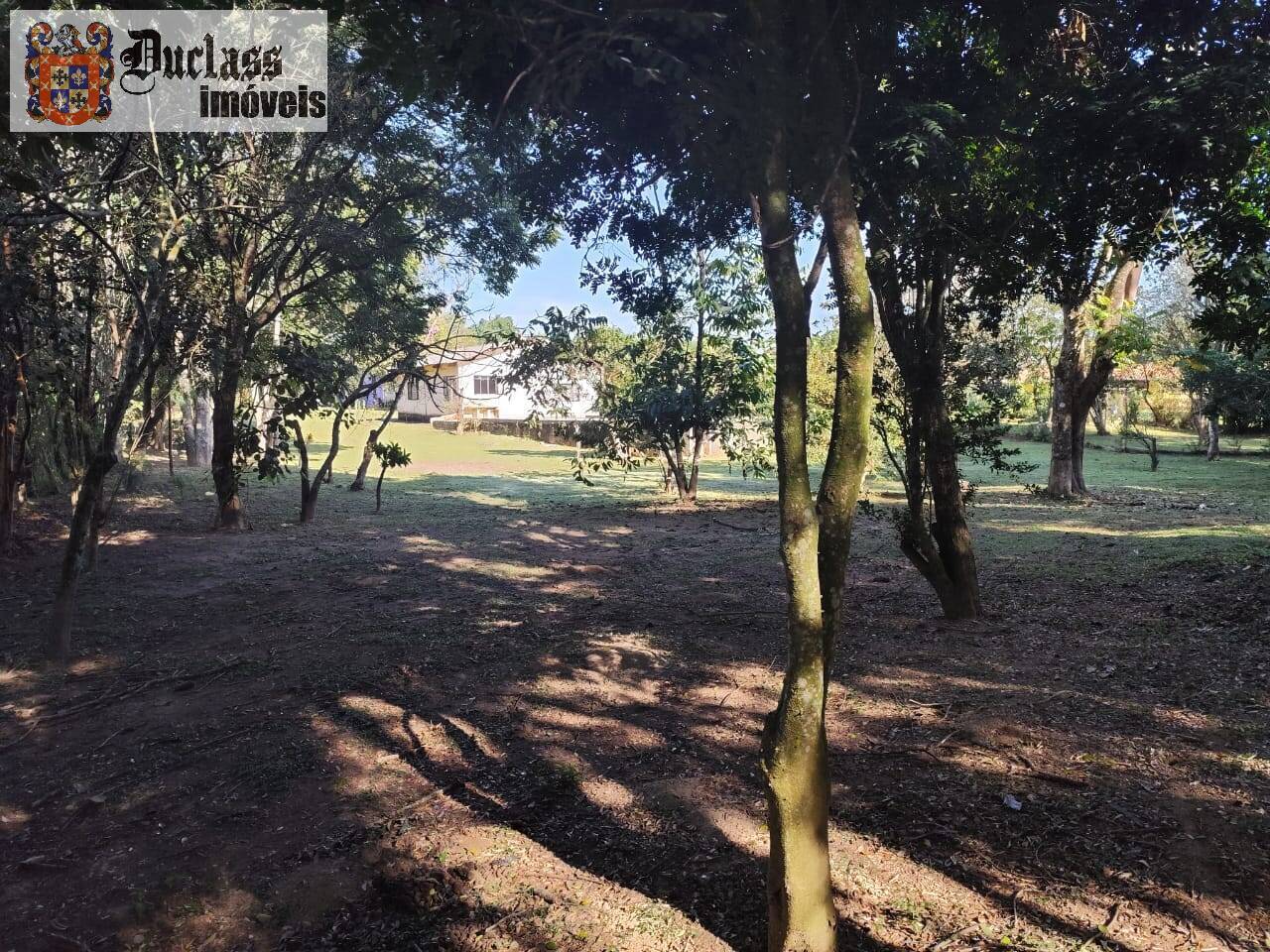 Fazenda à venda com 3 quartos, 150m² - Foto 10