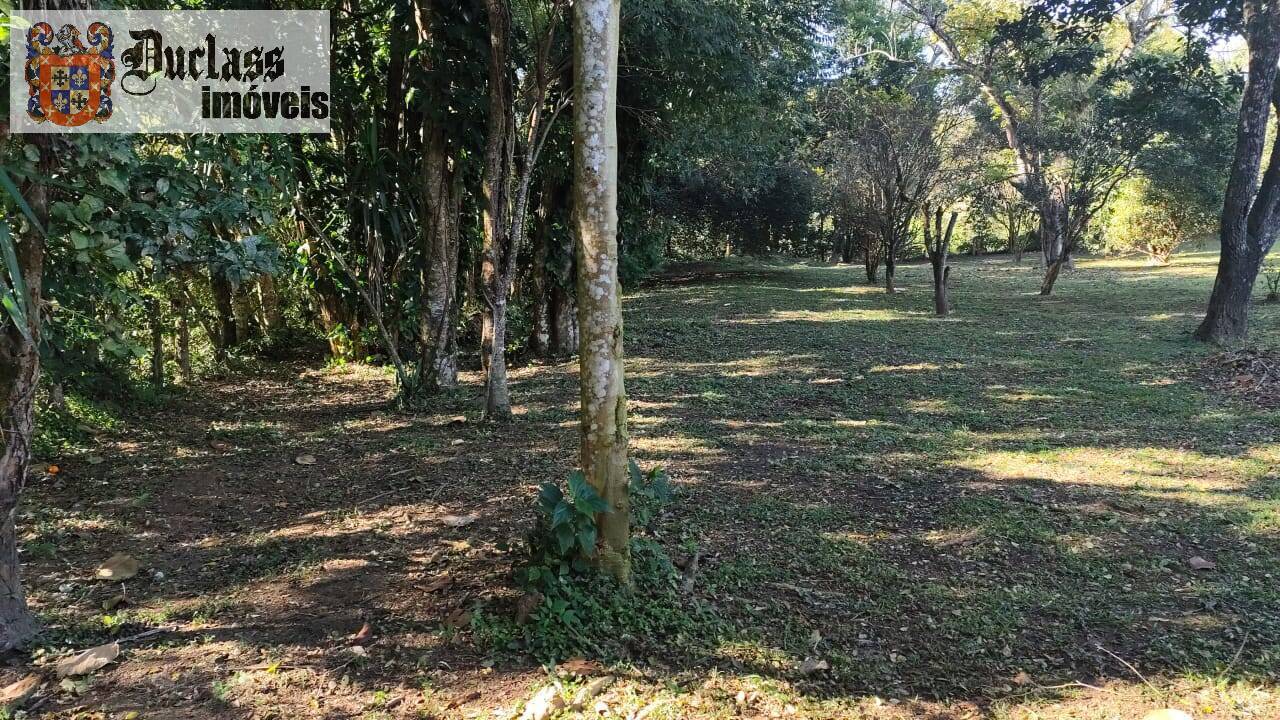 Fazenda à venda com 3 quartos, 150m² - Foto 25