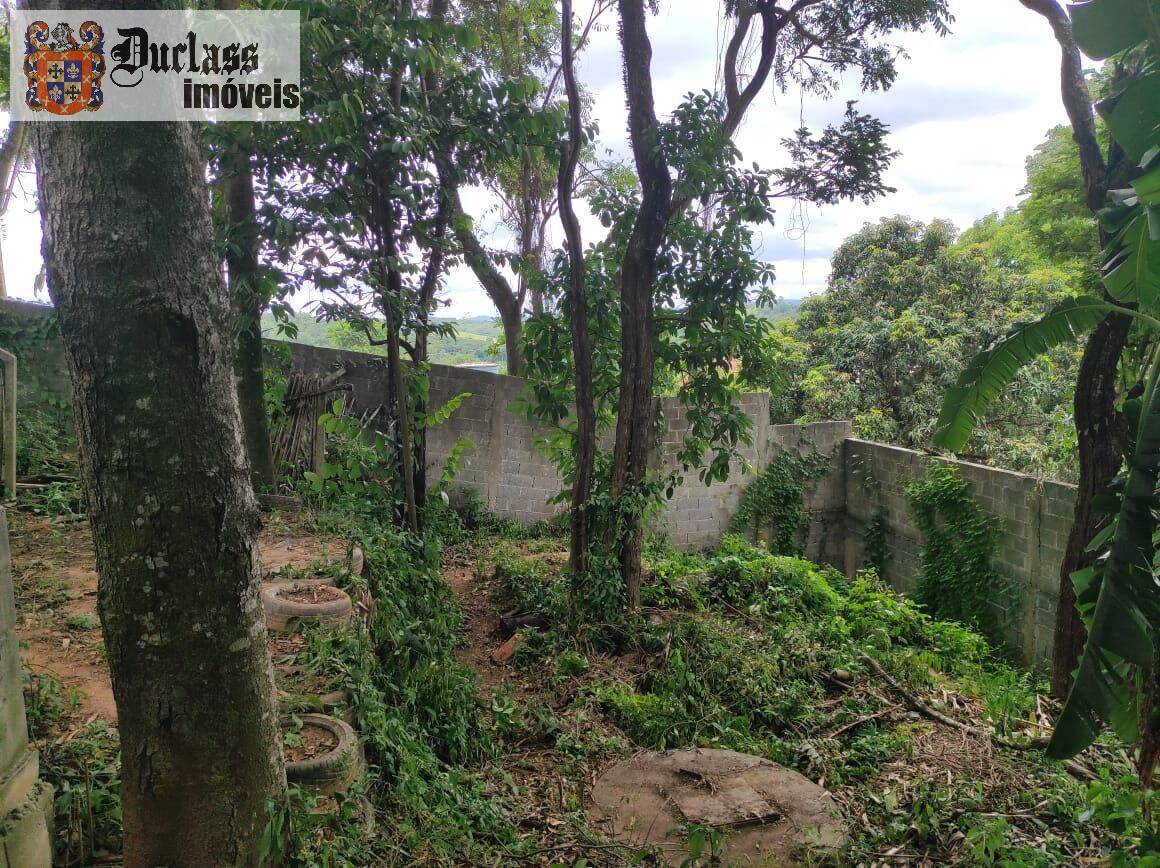 Fazenda à venda com 4 quartos, 371m² - Foto 41