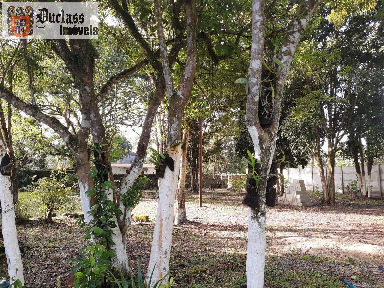 Fazenda à venda com 5 quartos, 350m² - Foto 17