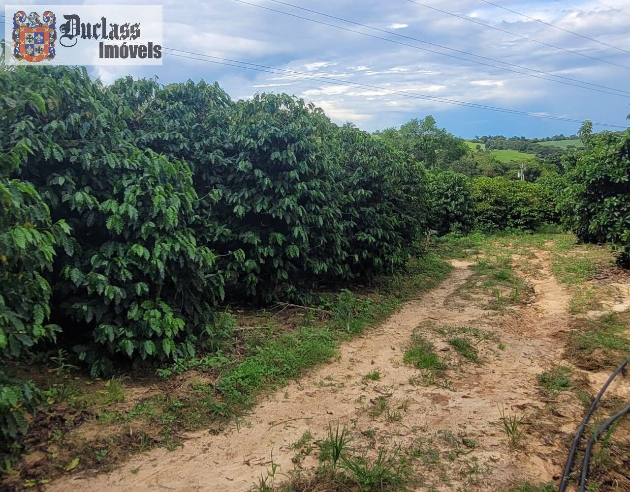 Fazenda à venda com 2 quartos, 44500m² - Foto 3