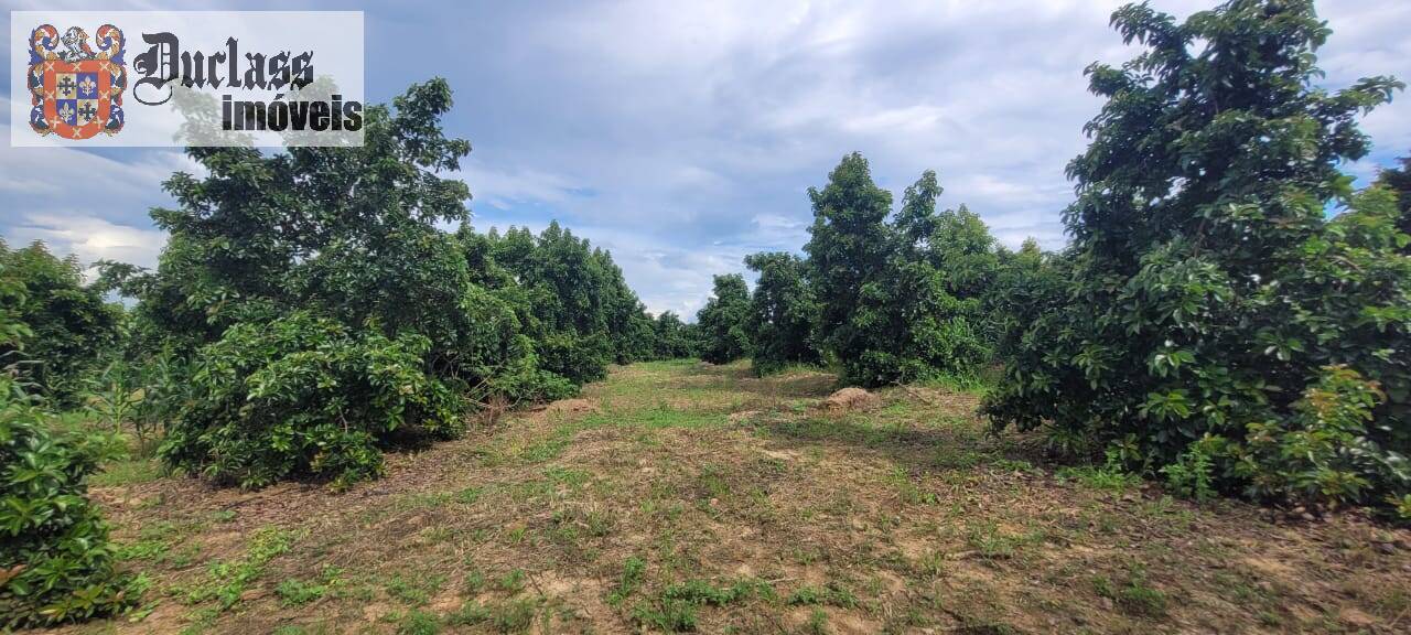 Fazenda à venda com 2 quartos, 44500m² - Foto 6