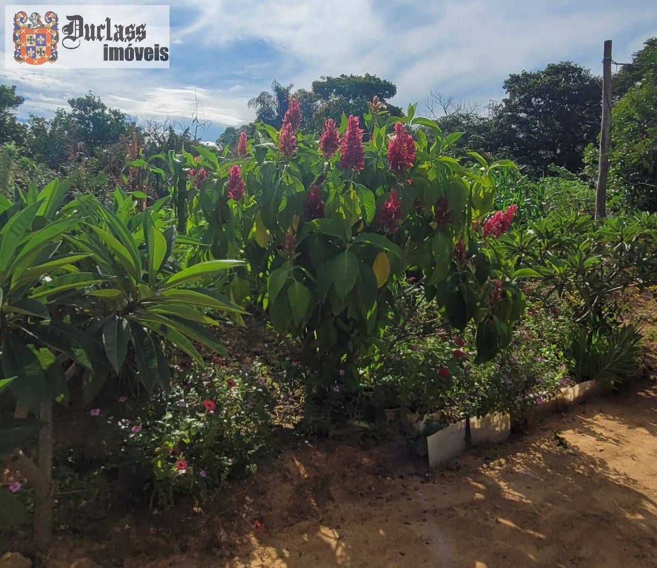 Fazenda à venda com 2 quartos, 44500m² - Foto 7