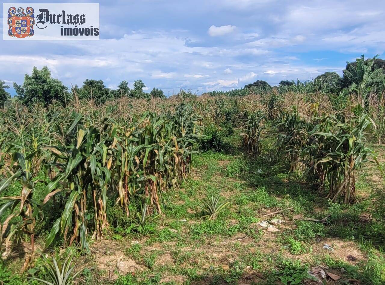 Fazenda à venda com 2 quartos, 44500m² - Foto 16