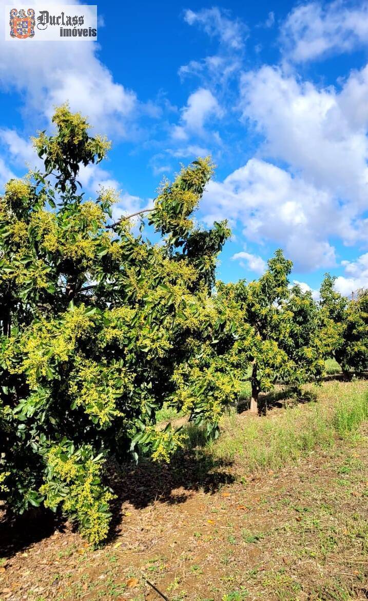 Fazenda à venda com 2 quartos, 44500m² - Foto 18