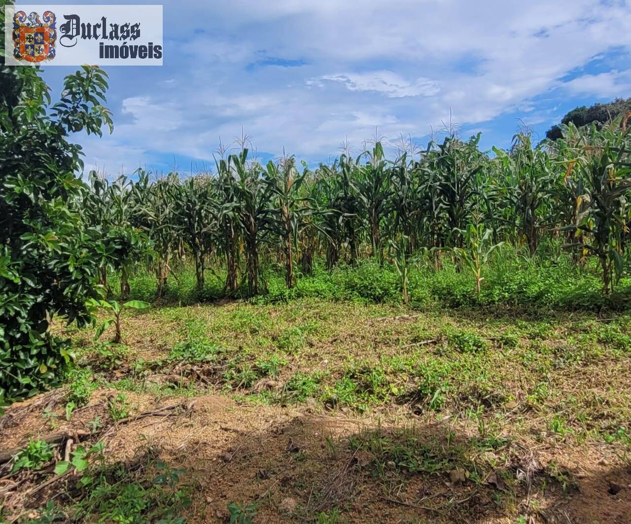 Fazenda à venda com 2 quartos, 44500m² - Foto 26