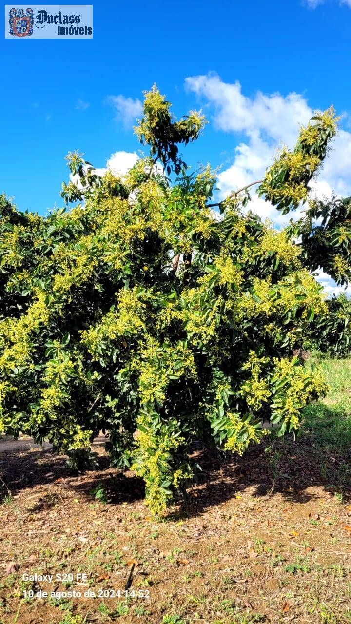 Fazenda à venda com 2 quartos, 44500m² - Foto 27